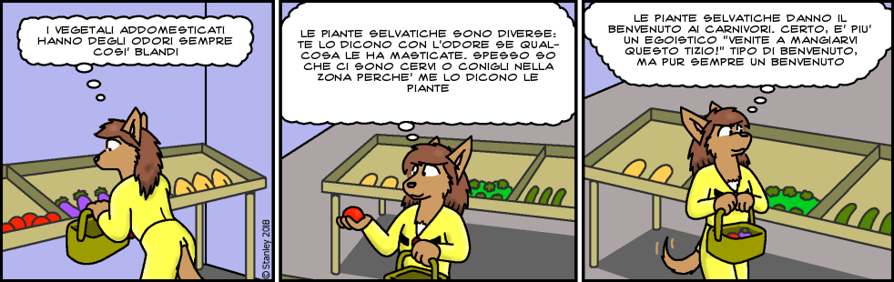 fc03117 fc03117.png
