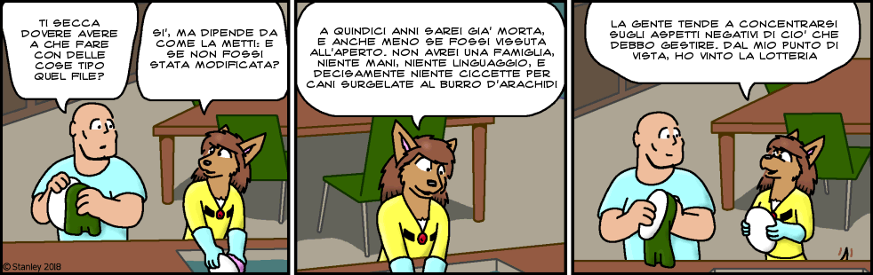 fc03145 fc03145.png