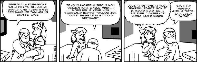 fv00360 fv00360.png