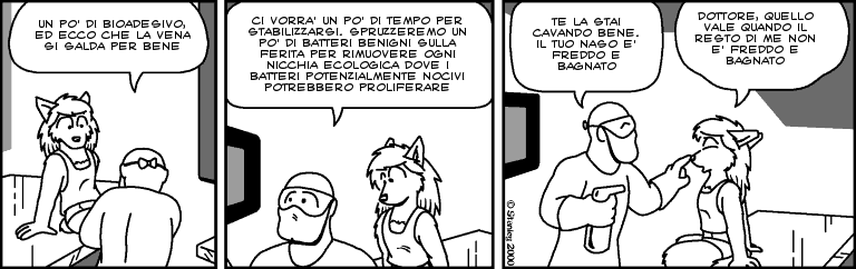 fv00361 fv00361.png