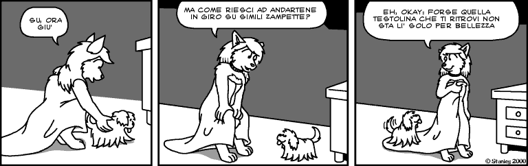 fv00411 fv00411.png