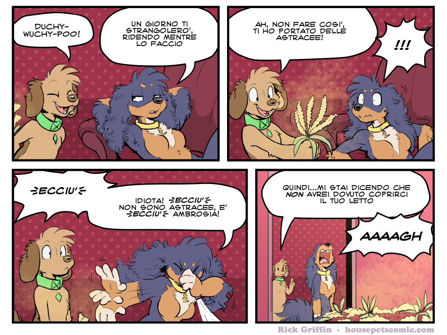 19-04-2019 - flower power 2019-04-19-flower-power.png