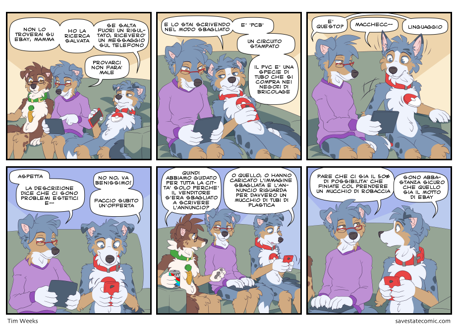 15-12-2021 - purchase protection ST-2021-12-15-purchase_protection.png